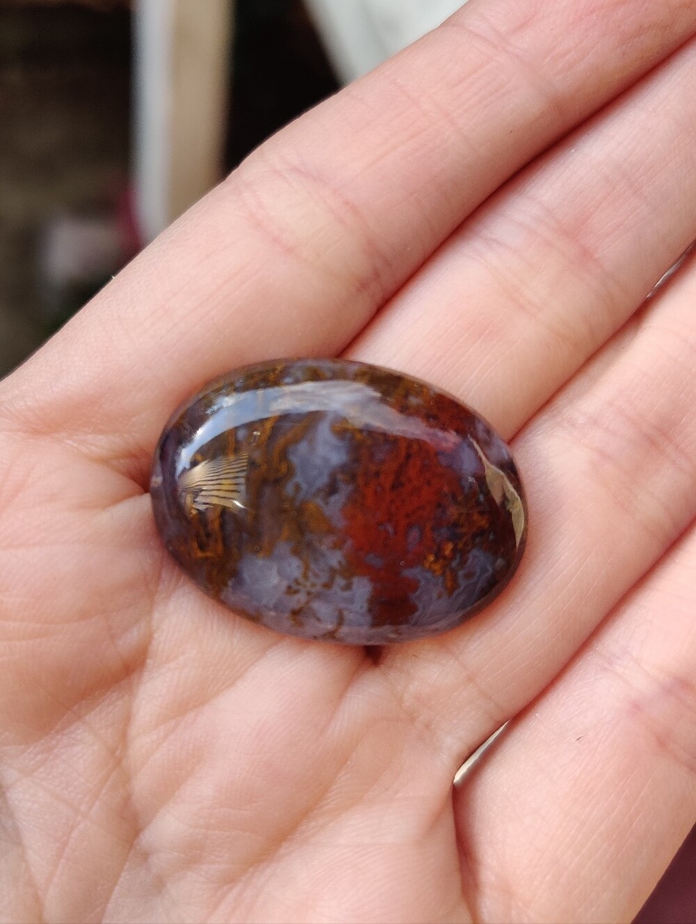 scenic red moss agate cabochon.